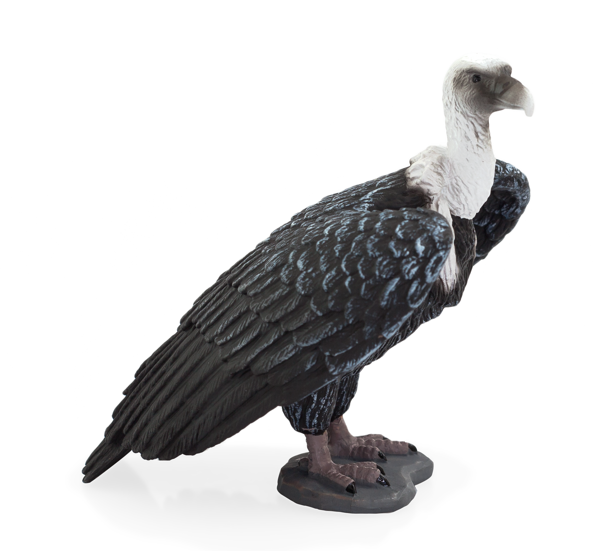 Griffon Vulture Toy Realistic Bird of Prey Figurine