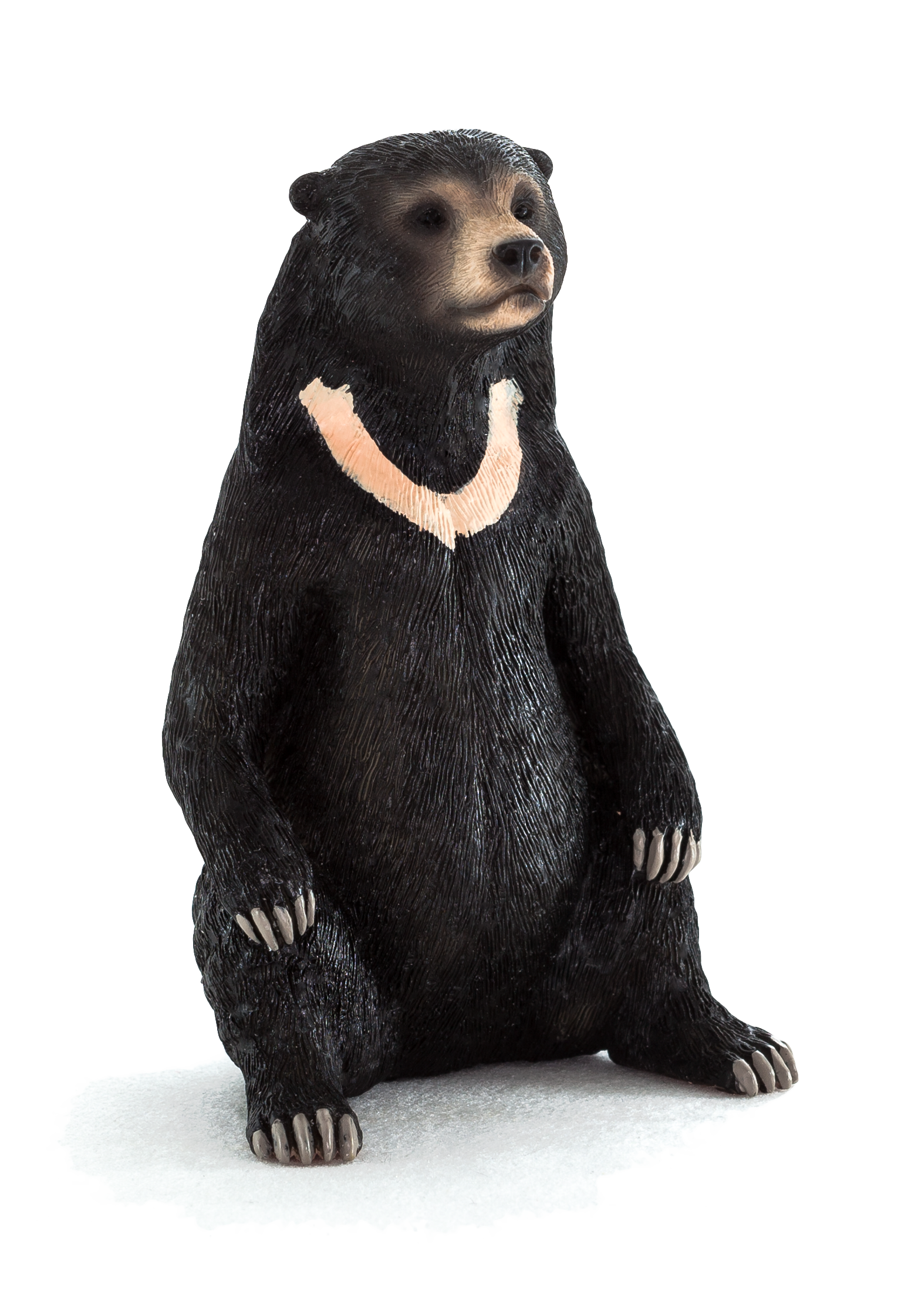 Sun Bear Toy Realistic Wildlife Animal Figurine
