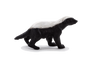 Honey Badger Male Toy Realistic Wildlife Figurine