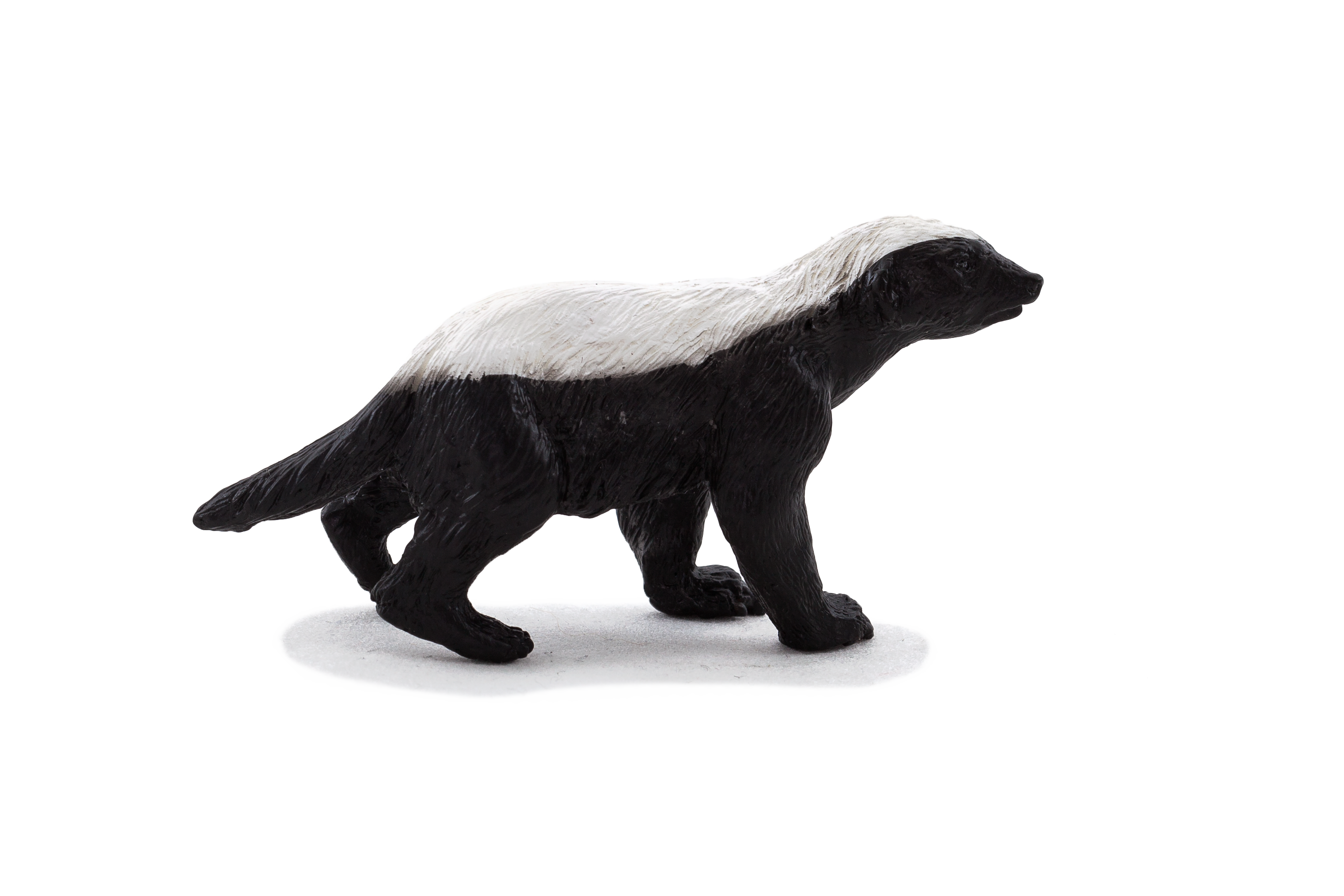 Honey Badger Male Toy Realistic Wildlife Figurine