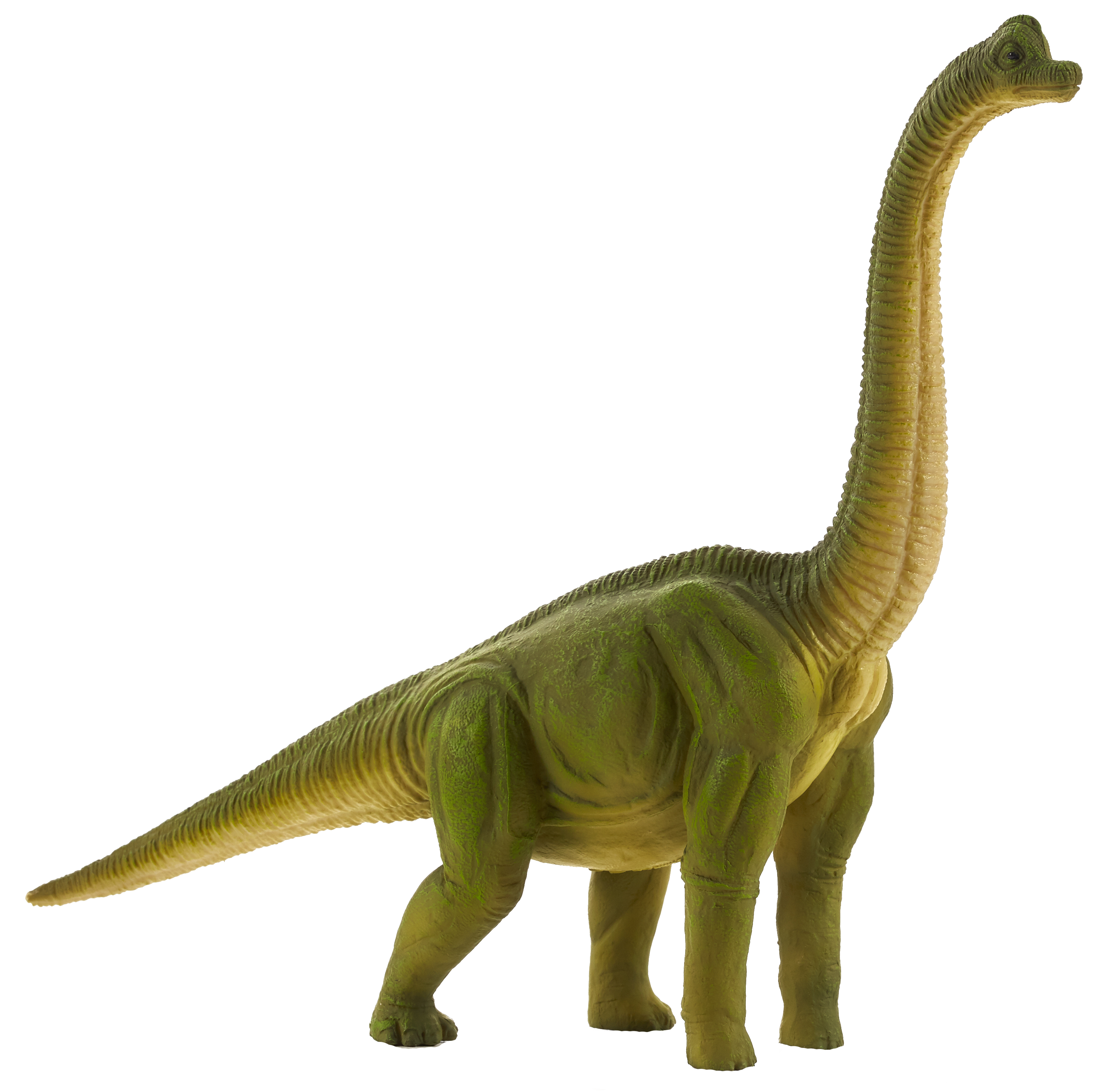 Brachiosaurus Dinosaur Toy Realistic Prehistoric Model