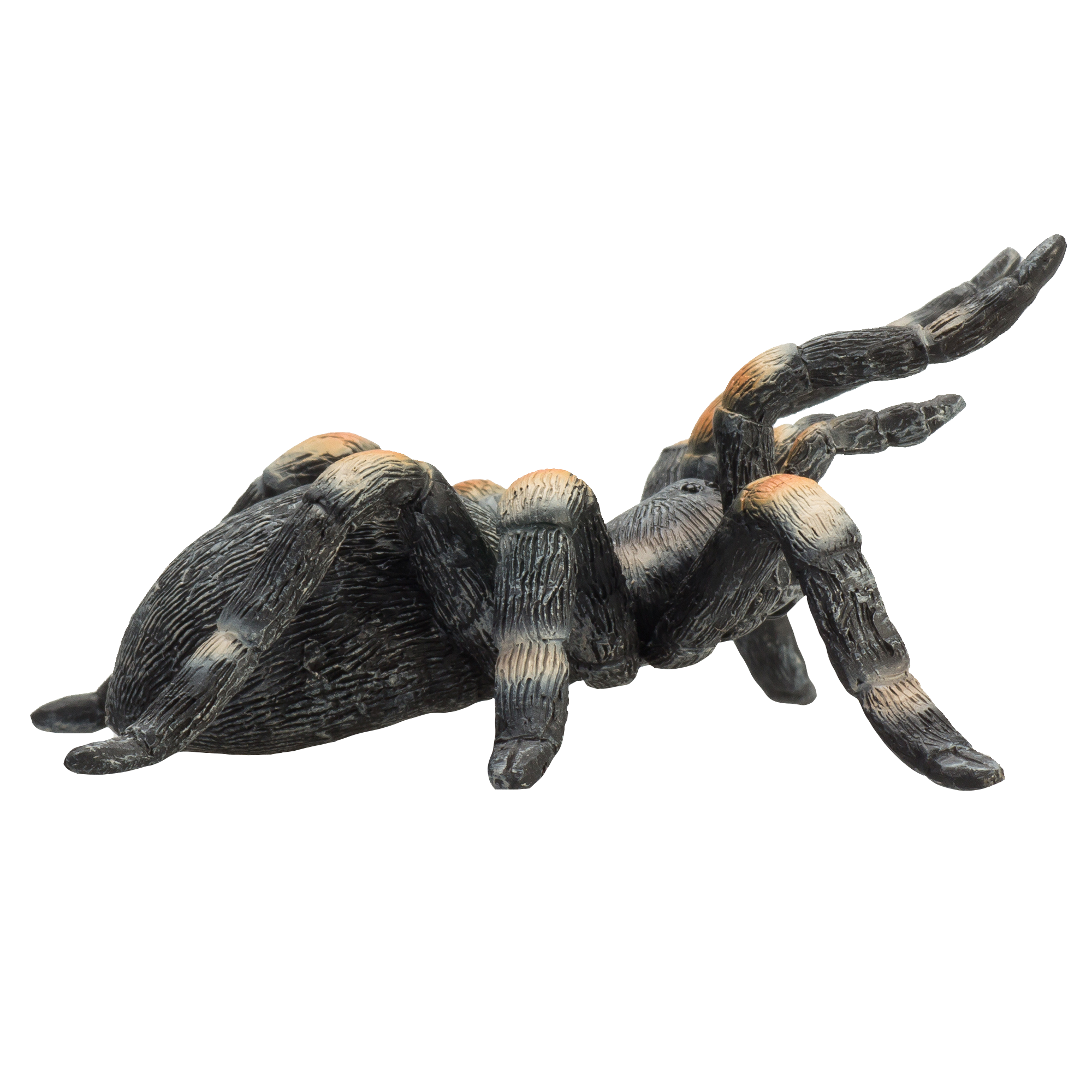 Red-Kneed Tarantula Toy Realistic Spider Figurine