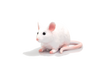 Mouse Toy Realistic Small Animal Figurine