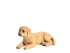 Labrador Puppy Toy Realistic Pet Dog Figurine