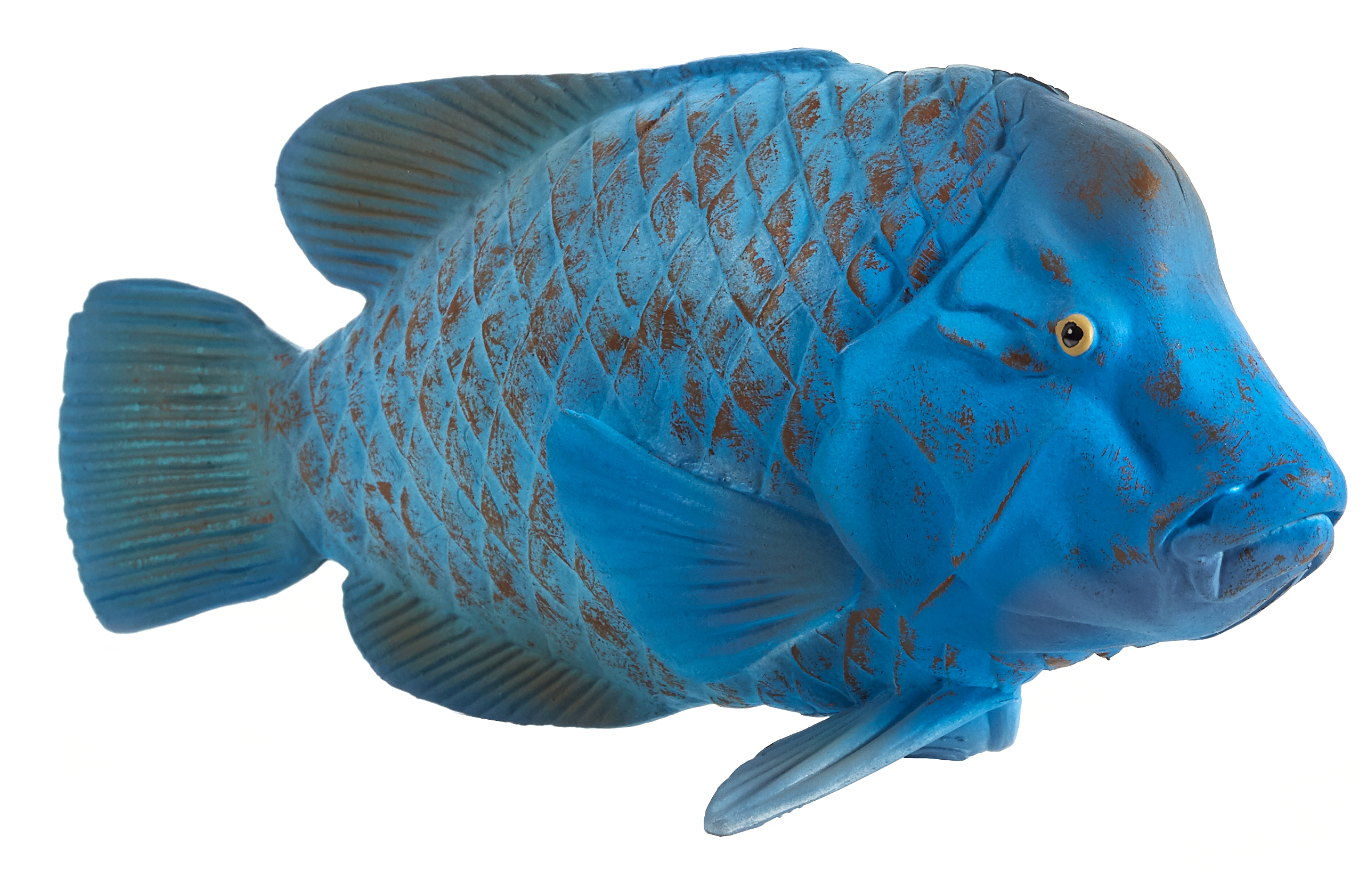 Blue Groper Fish Toy Realistic Ocean Animal Figure