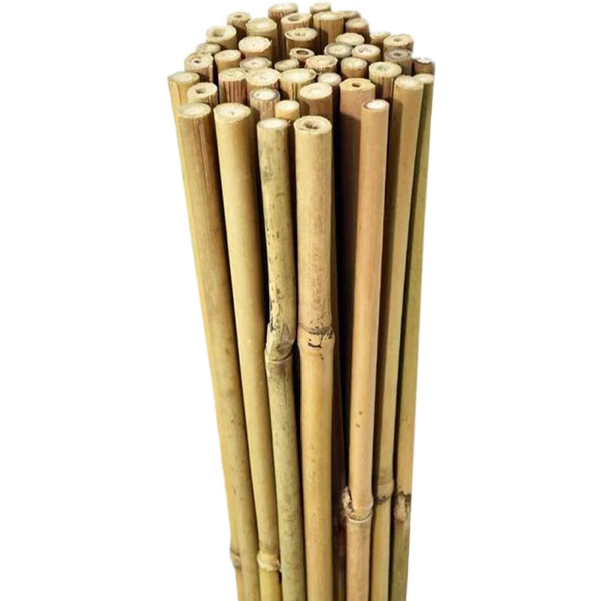 ONE PIECE 2ft (60cm) Bamboo cane