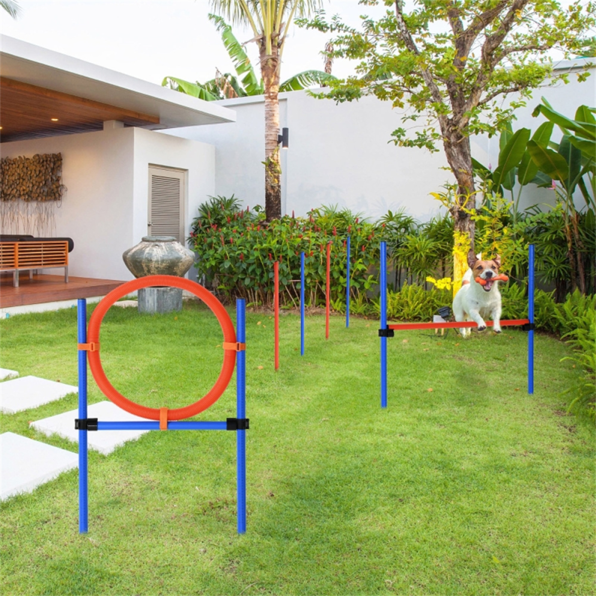 Dog agility training equipment