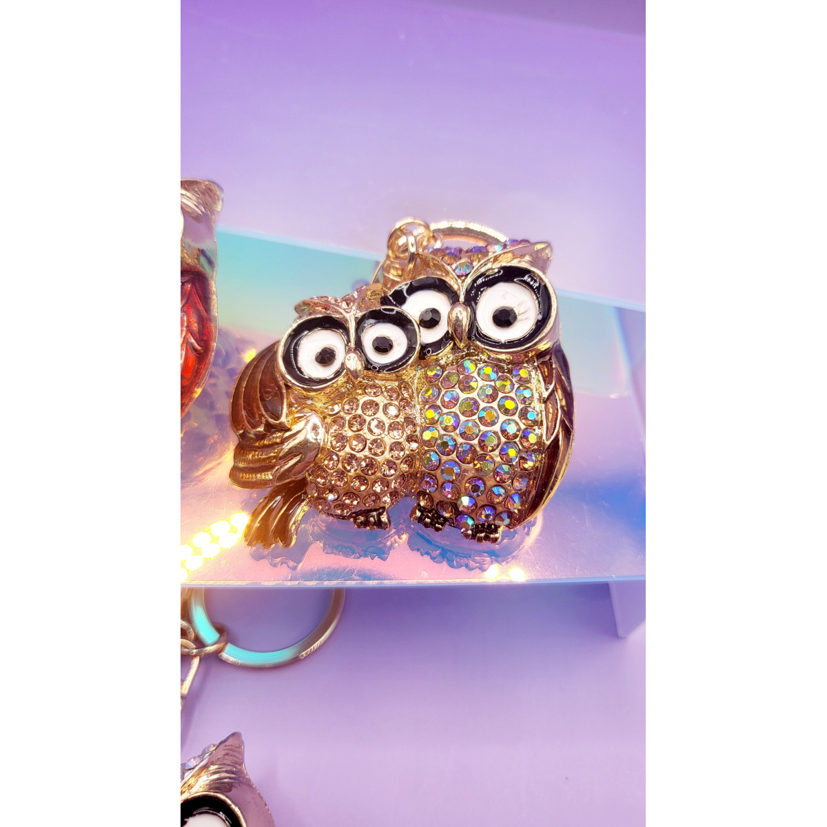 Owl & Baby Owl Key Ring