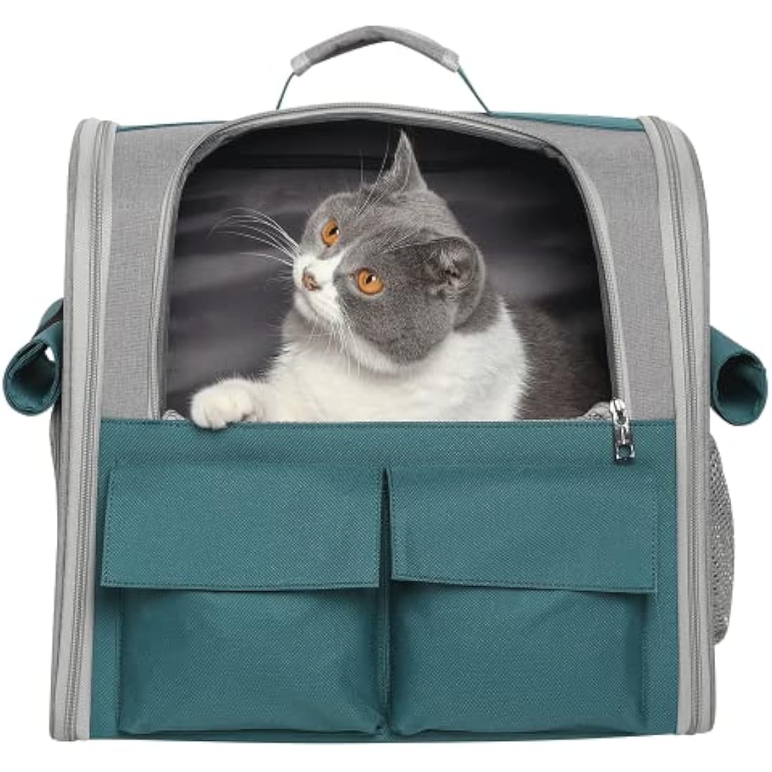 Pet Carrie Large Portable Backpack for Cat Puppy Dog up to 10kg - Capsule Breathable Travel Rucksack with Ventilated Mesh 3 Side Entry Top-Opening Foldable, Airline Approved for Outdoor Daily Use