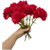 11 Inch Bouquets 10 Stem Carnations,Outdoor UV Resistant No Fade Artificial Flower,Mini Carnation Silk Petals Fake Flowers Forever Plants for Photo Props Home Party and Wedding Decor (Red-10)