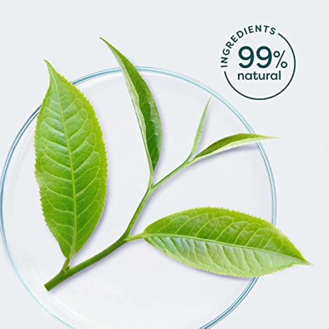 RAWGANIC Pure Cleansing Refreshing Facial Wipes with Aloe Vera and Green Tea | Gentle Soothing Biodegradable Makeup Removal Organic Cotton Wipes | 12 Packs (300 wipes in total)
