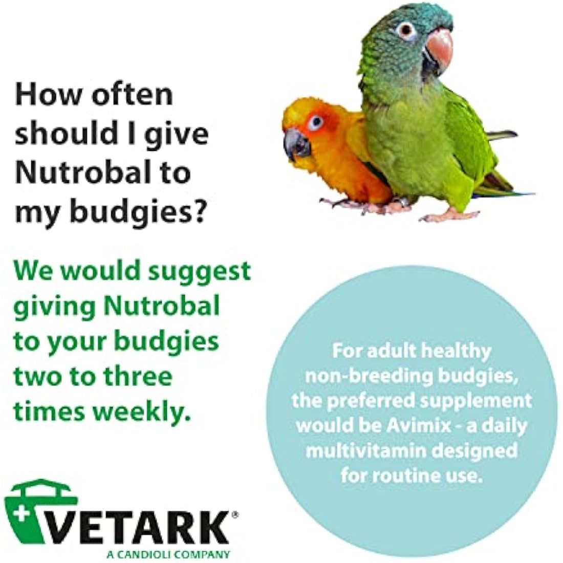 Nutrobal, Calcium & Vitamin D3 Mineral Supplement for Birds & Reptiles, Powder, Easy to Administer, 100g