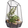 NCYP Opened Geometric Glass Terrarium for Succulent, Air Plants - 16.5 x 14.5 x 25 CM Irregular Glass Planter Pot - Indoor Garden Tabletop Decor, Black (No Plants, No Door)