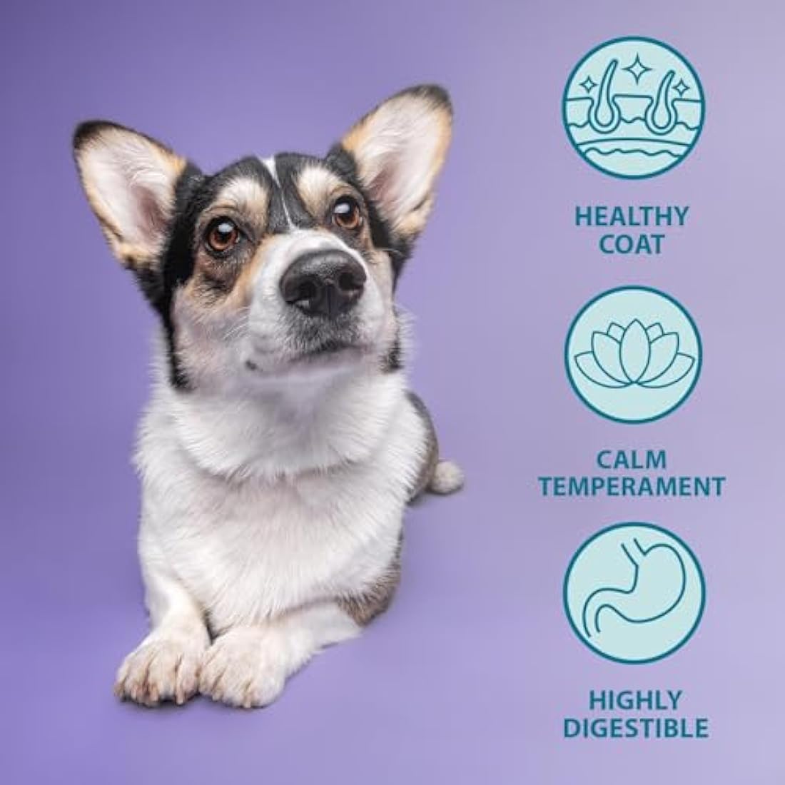 Burns Pet Nutrition Hypoallergenic Complete Dry Dog Food Puppy Mini Chicken and Rice 6 kg