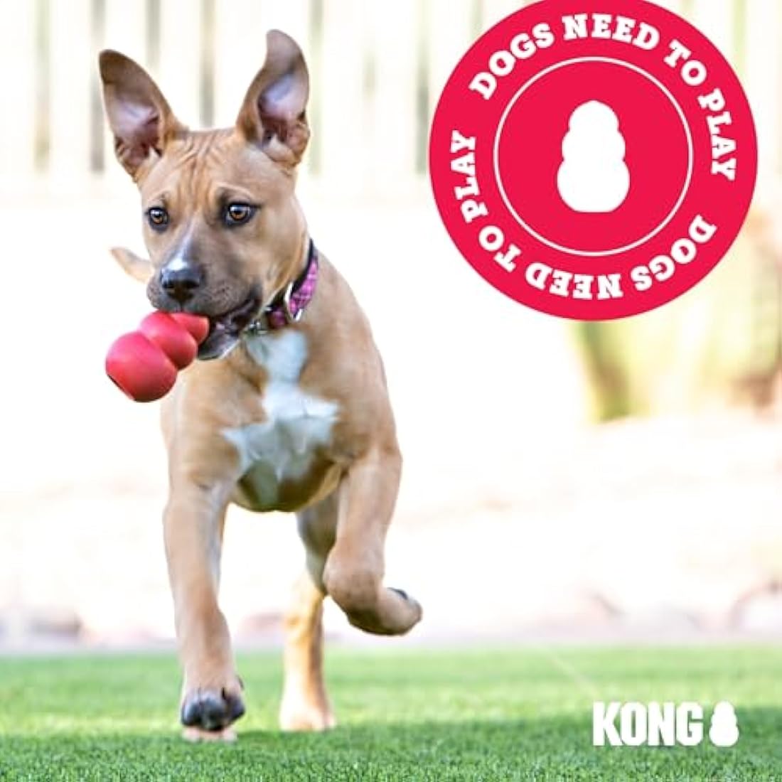KONG - Sherps Llama - M - 1 piece Multicolour