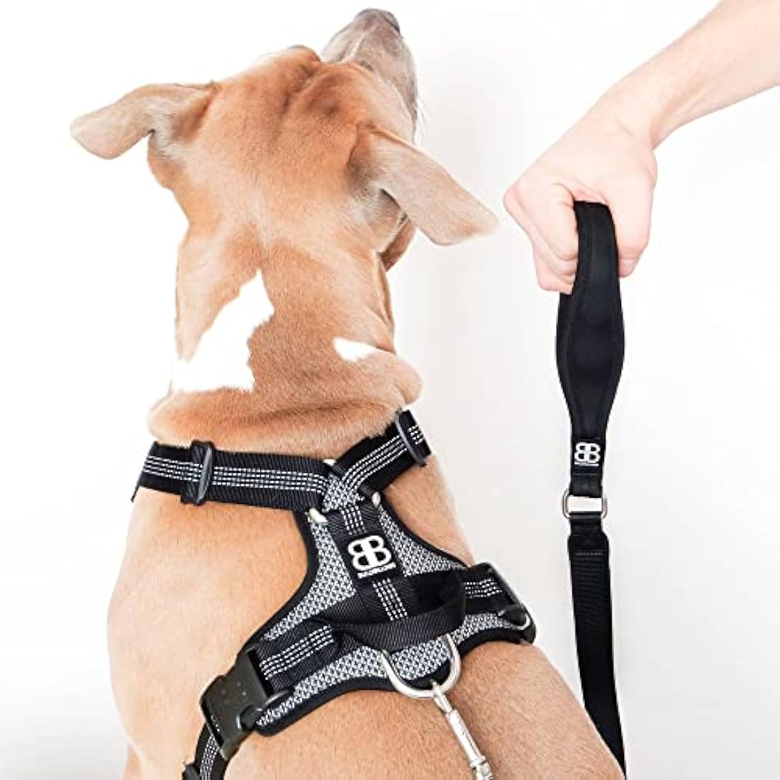 BullyBillows Active Light Dog Harness With Handle | Premium Padded Lining & Highly Reflective Harness | XLarge Pink