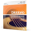 D'Addario Guitar Strings - Phosphor Bronze Acoustic Guitar Strings - EJ41 - Rich, Full Tonal Spectrum - For 12 String Guitars - 09-45 Extra Light 12-String