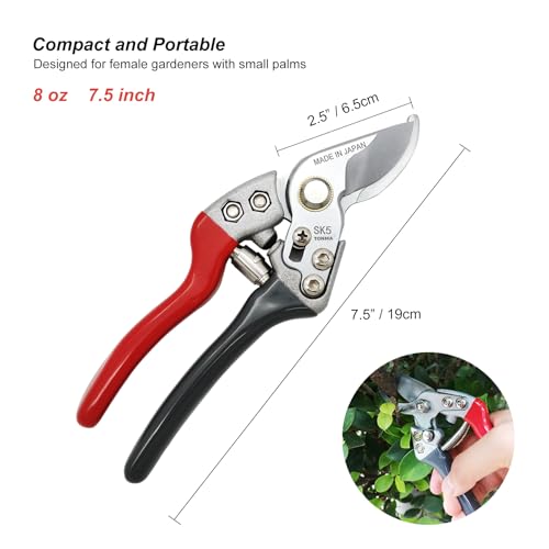 TONMA Secateurs [Made in Japan] 7.5" Professional Bypass Garden Shears Heavy Duty with Ergonomic Handle, Japanese Pruning Scissors Trimmers Sturdy