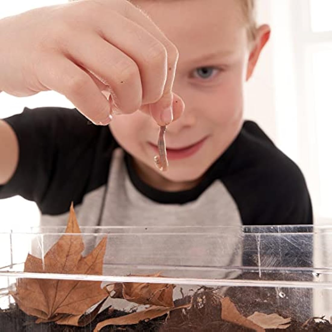 My Living World - Worm World | Discover The Amazing World Of Worms | Includes Easy To Use, Quality Equipment | With 10 Page Fact Filled Bug Guide | For Ages 5+