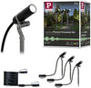 Paulmann 94156 Outdoor Plug & Shine Spotlight Plantini ext. Set 3000K 3x2.5W 24V 40° Anthracite alu, Aluminium, Integriert, 7.5 W, 2.1 x 7.7 x 22.3 cm