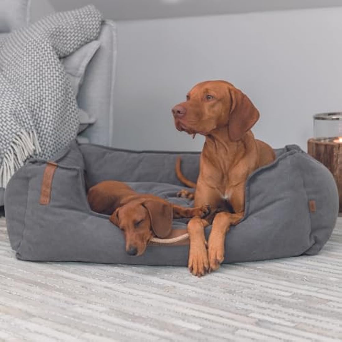 TRIXIE BE Nordic Föhr Dog Bed 60 x 50 cm in Dark Grey - Square Dog Basket for Small and Large Dogs - Cosy Dog Basket with Practical Carry Handle - Soft and Washable - 37447