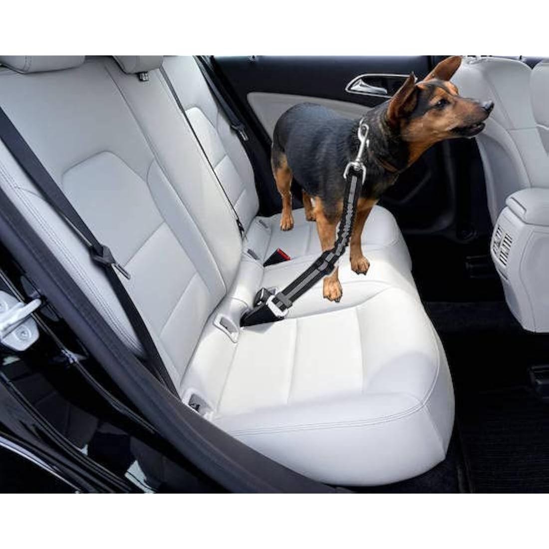 GoBuyer Dog Car Seat Belt for Pet Dogs Safety Harness Travel Accessories in UK, with Adjustable Heavy Duty Nylon and Anti Shock Elastic Bungee Buffer (Orange, Pack of 2)