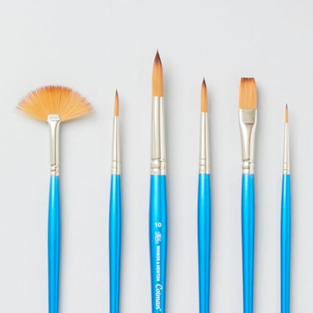 Winsor & Newton Cotman Brush Wallet Cass Exclusive Set of 6