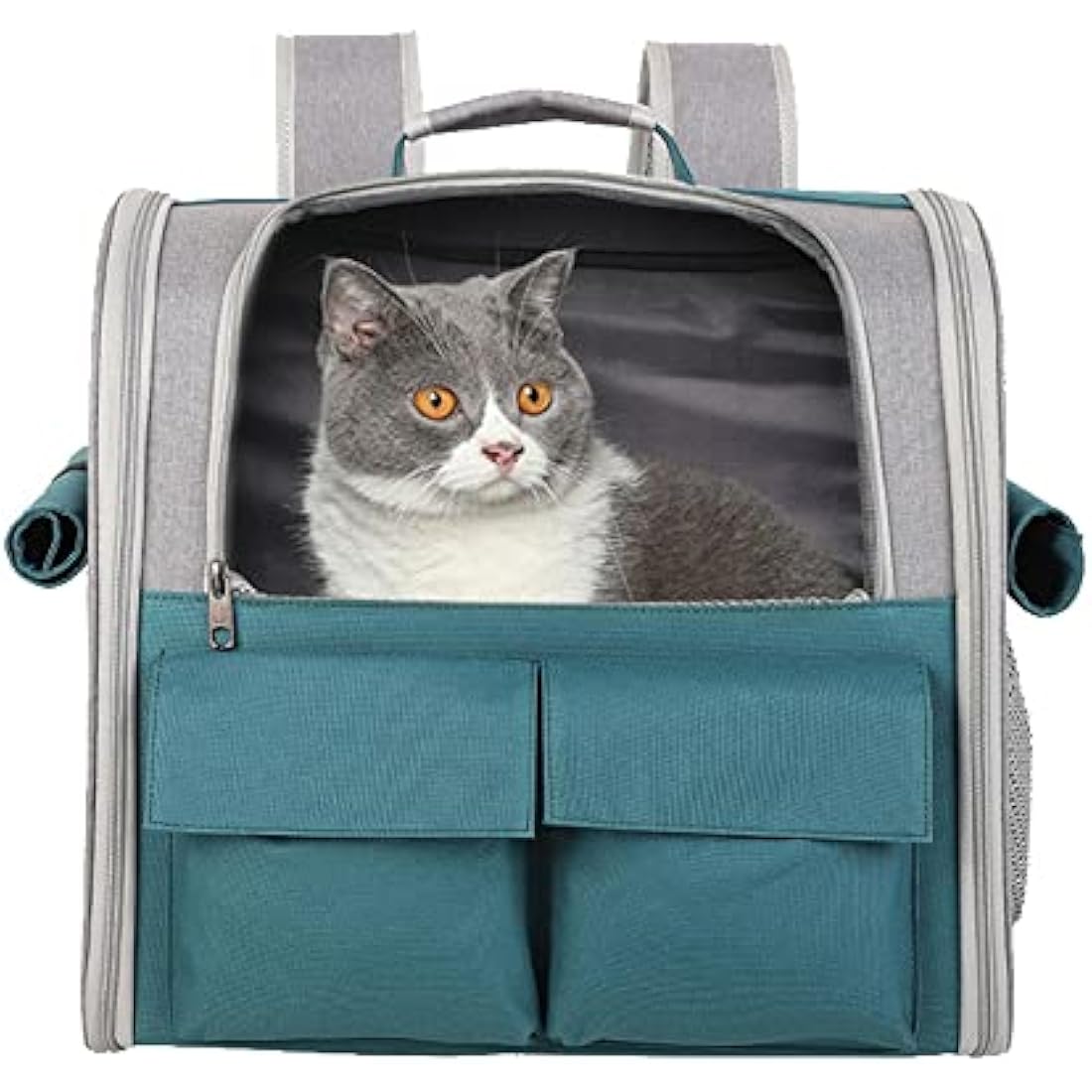 Pet Carrie Large Portable Backpack for Cat Puppy Dog up to 10kg - Capsule Breathable Travel Rucksack with Ventilated Mesh 3 Side Entry Top-Opening Foldable, Airline Approved for Outdoor Daily Use