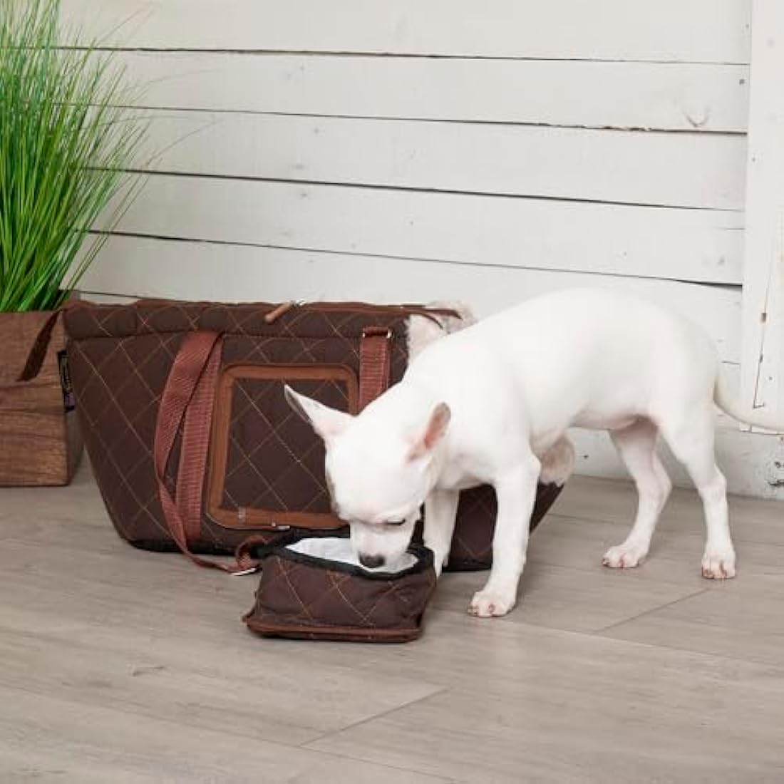 Scruffs Wilton Carrier Brown (One Size)