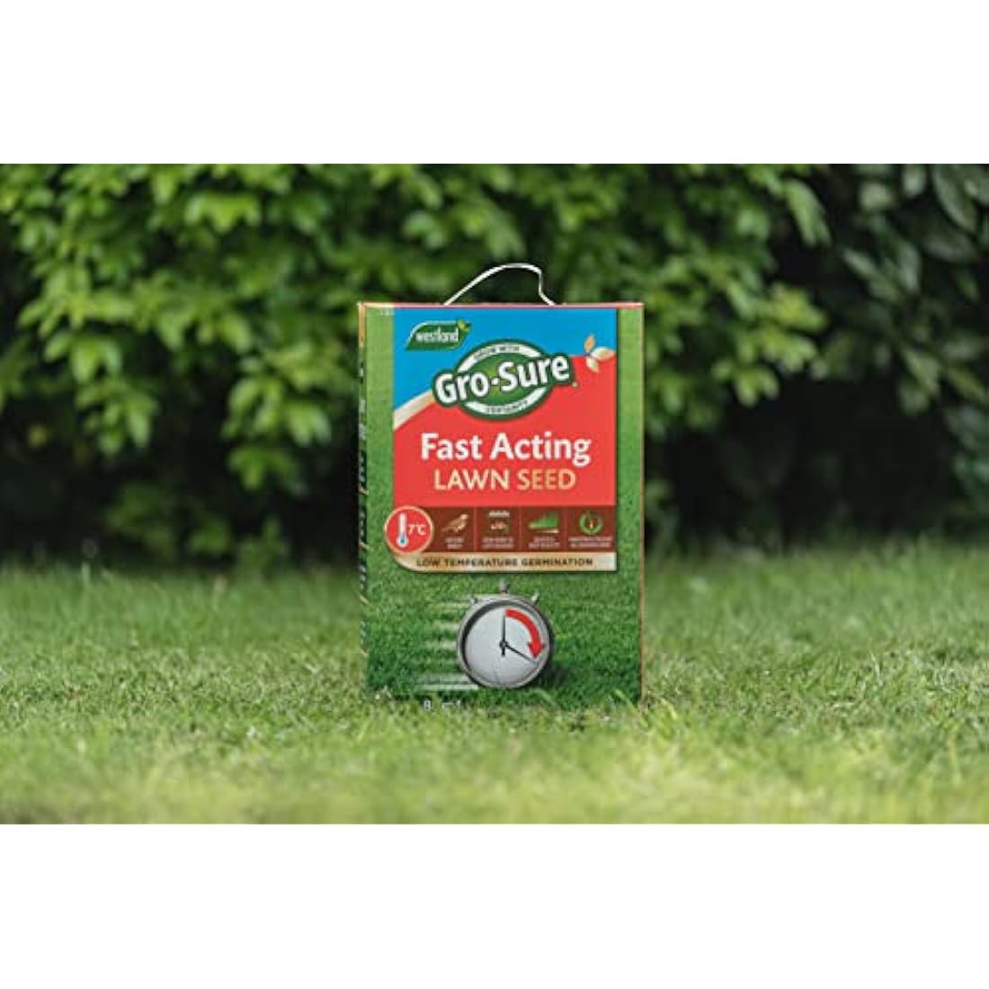 Gro-Sure Fast Acting Lawn Seed, 10 m2, 300 g, Blue,Green