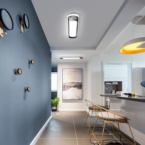Naroume Modern LED Ceiling Lights - 6000K Flush Mount Metal Smart Ceiling Chandelier Lighting Fixture for Living Room, Bedroom, Dining Room, Office, Hallway, Aisle