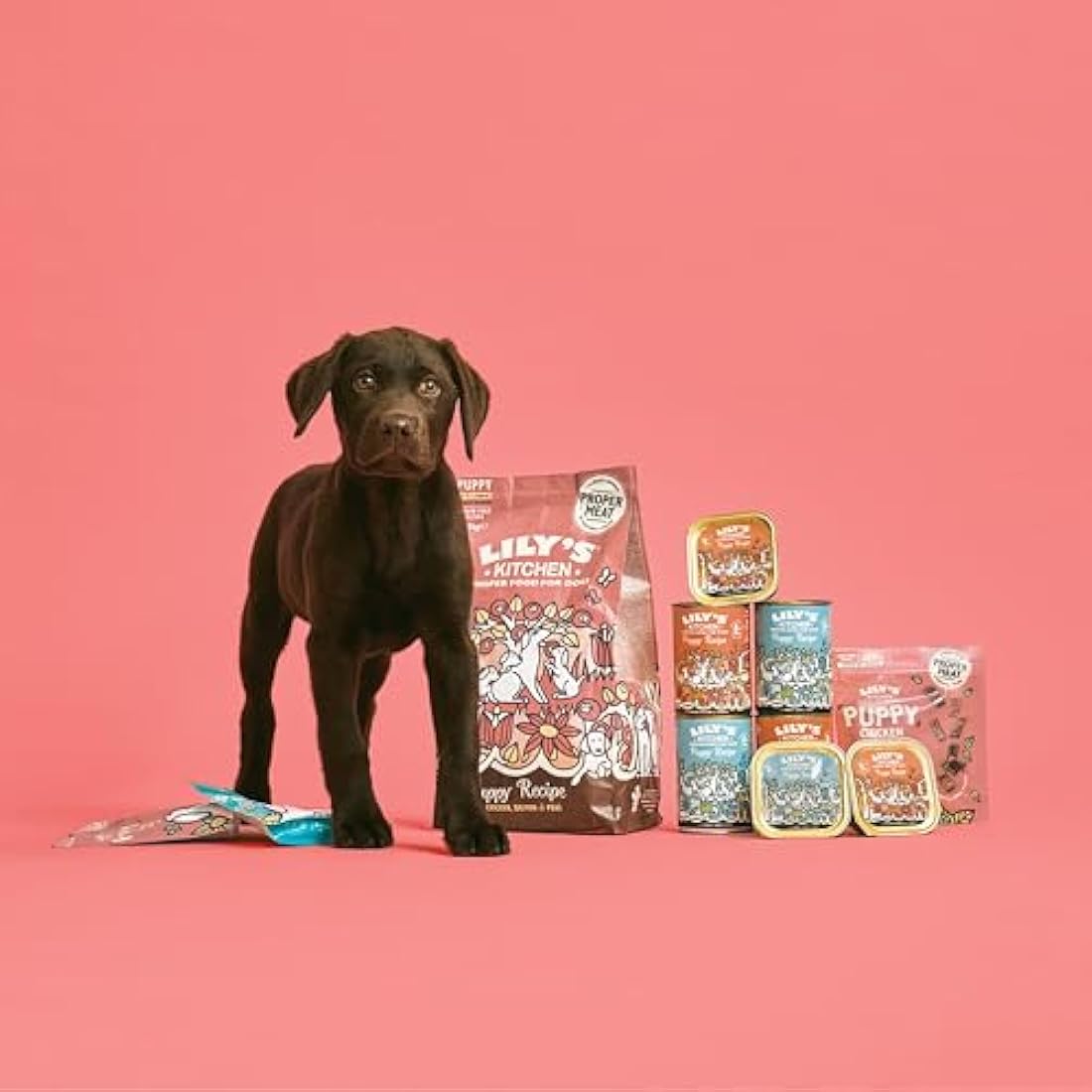 Lily’s Kitchen Made with Natural Ingredients Puppy Wet Dog Food Tray Organic Dinner with Chicken & Veg 11 x 150g