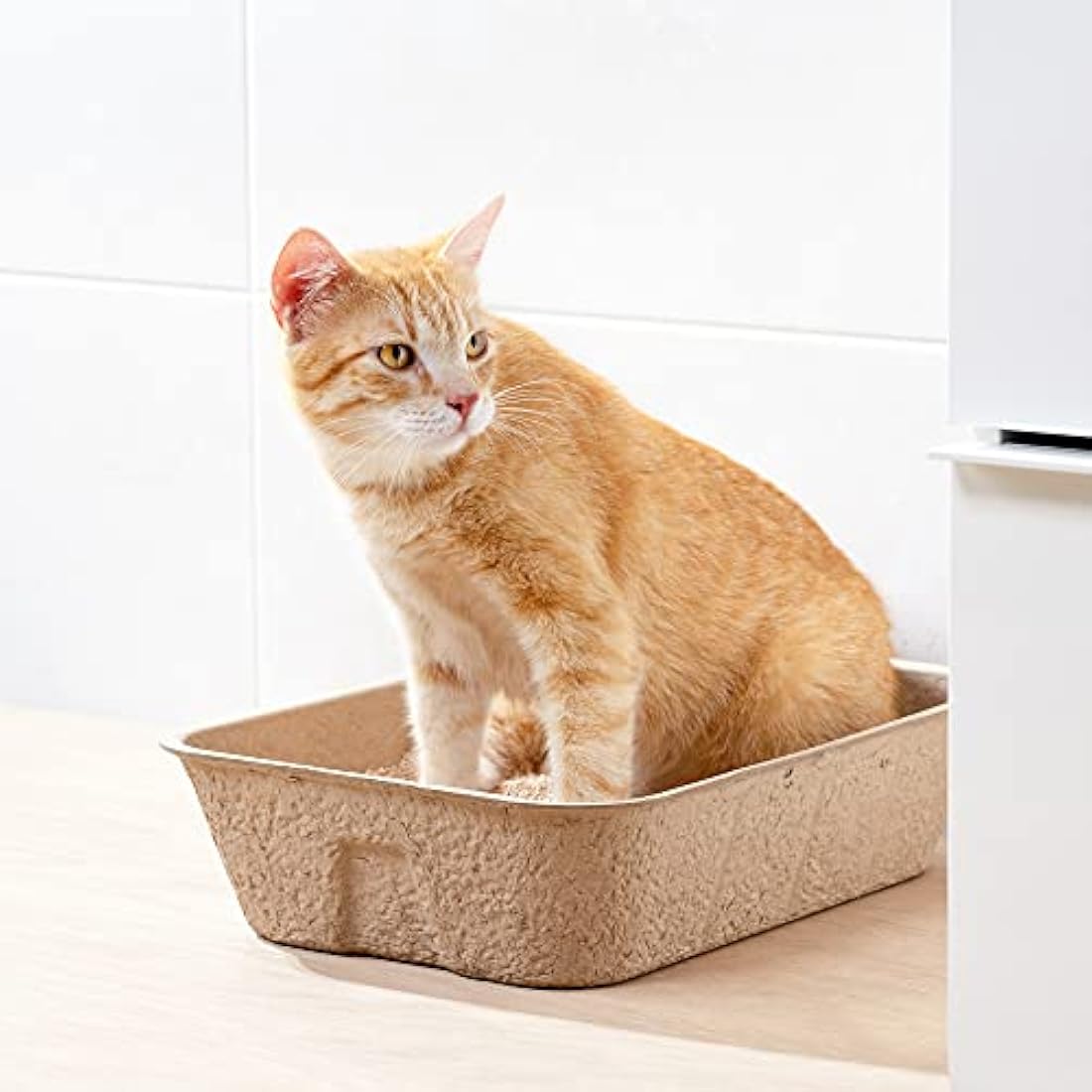 Navaris Disposable Cat Litter Trays (Pack of 10) - Cardboard Liner Tray for Cats Made of 100% Paper - Use Alone or As Box Liners - 40.5cm x 30cm