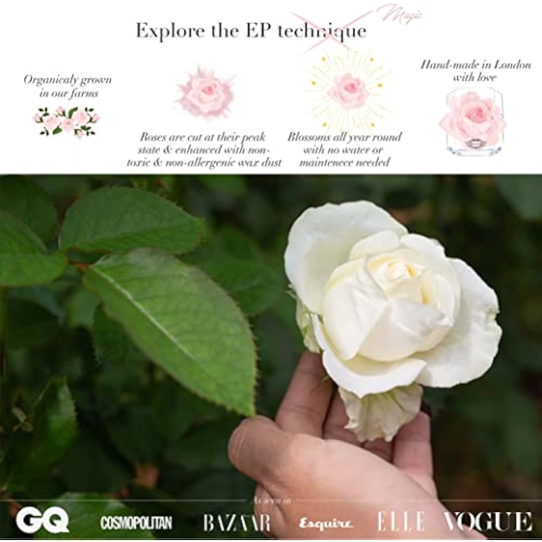 Eternal Petals A 100% Real Rose That Lasts Years, Handmade in London, Flowers Delivery Next Day Prime UK – White Gold Solo (Deep Red)