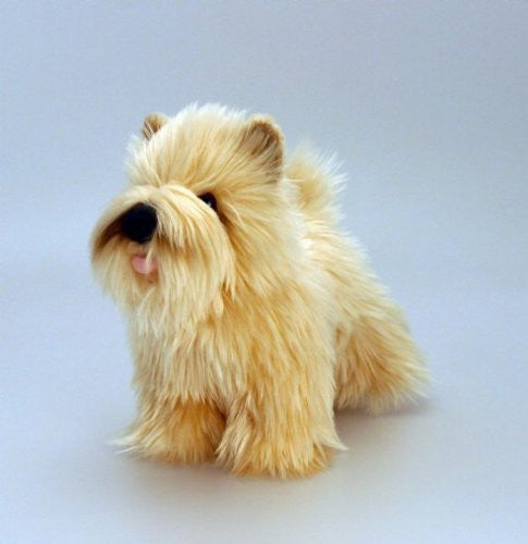 Best in Show - 20cm Dogs with Rosette