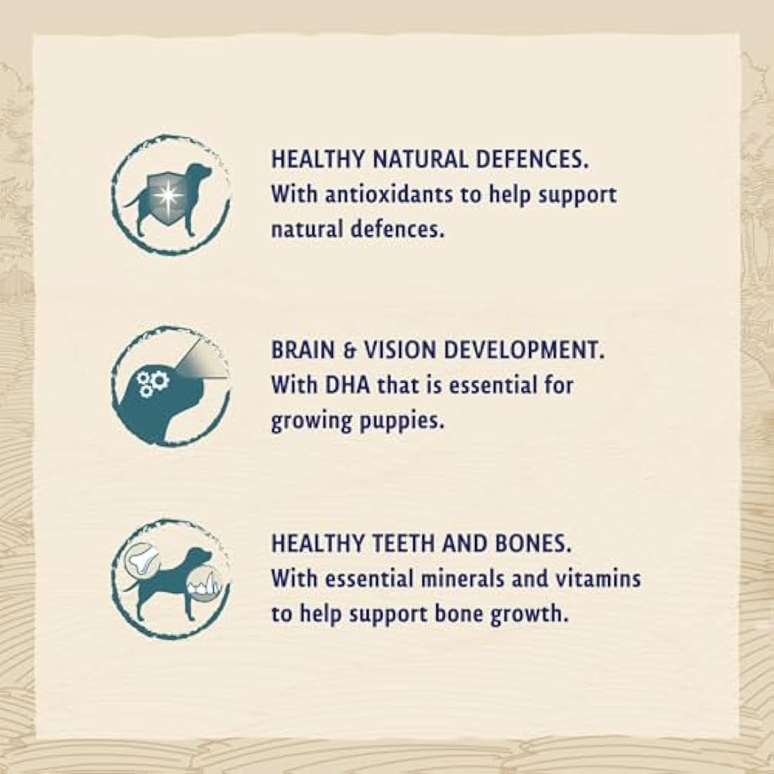 BETA Puppy Turkey and Lamb Dry Dog Food 14kg