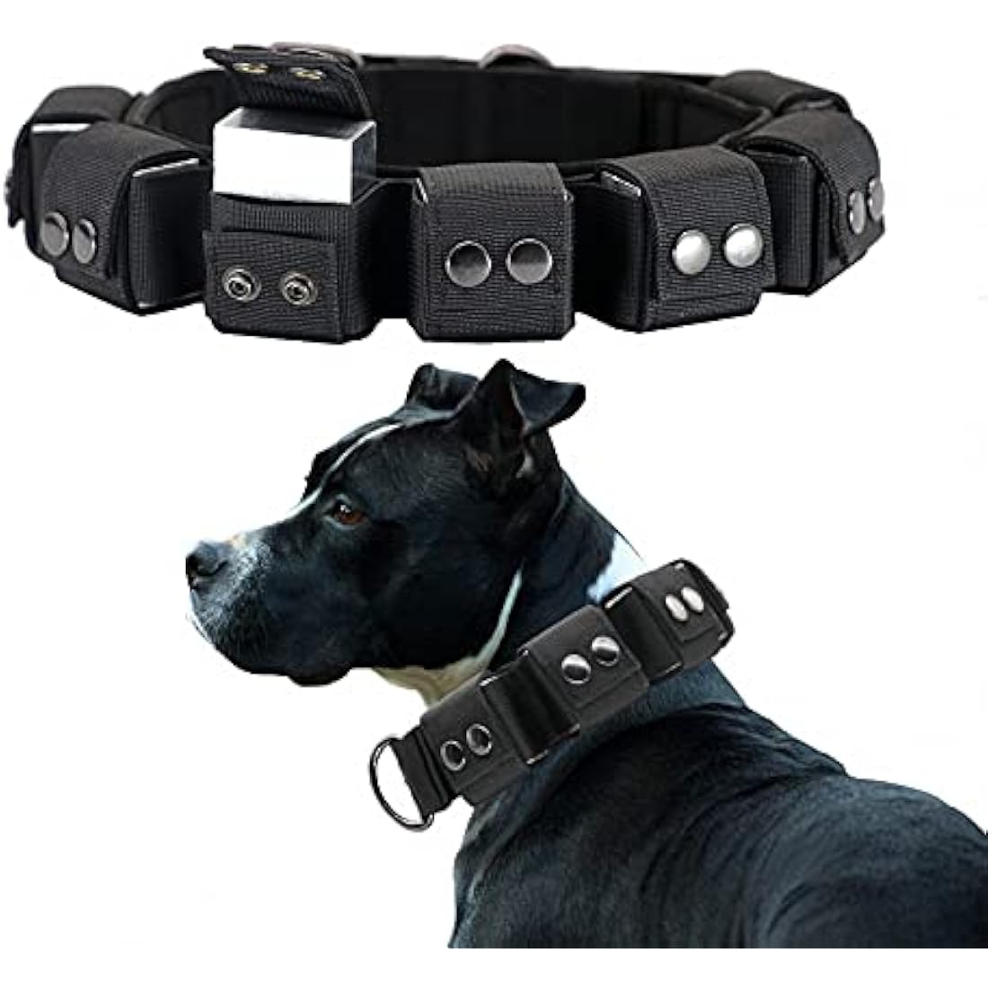 Walktime Tactical Weighted Dog Collar - Weights for Training & Exercise - Small, Medium, Large Dogs
