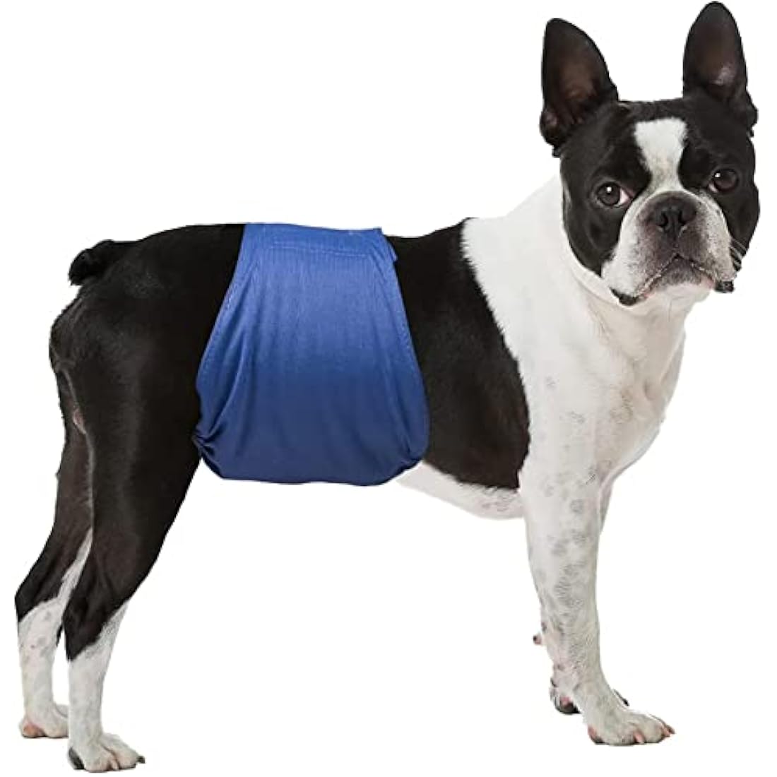 LeerKing Leakproof Dog Diapers 3 Pack Reusable Male Dog Belly Bands Nappies for Incontinence, XXXL