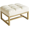 Aibiju Small Footstool Ottoman, Rectangle Faux Leather Footstool with Gold Metal Frame, Change Shoes Stool for Living Room, Bedroom, Entryway Office, White YD-JD139W