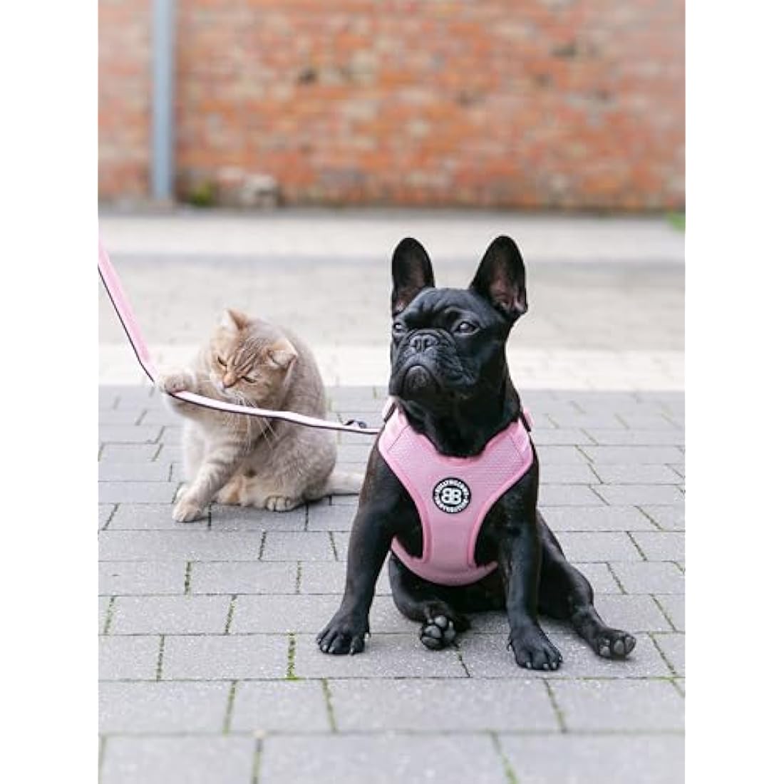 BullyBillows Active Light Dog Harness With Handle | Premium Padded Lining & Highly Reflective Harness | XLarge Pink