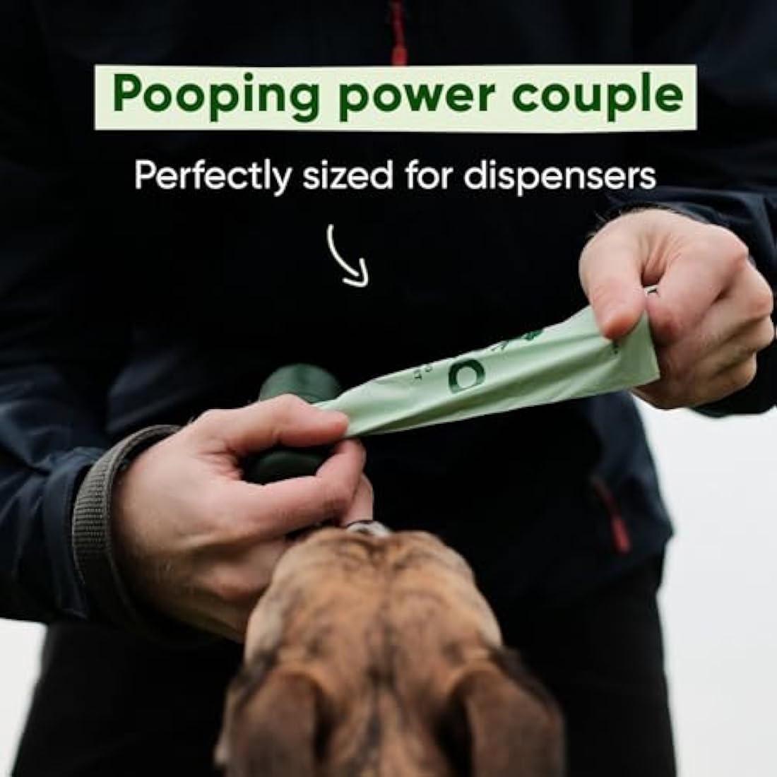 Beco Dog Poop Bags Rolls - Strong & Large - 720 Bags (48 Rolls of 15) and 1x Dispenser, Unscented, Dispenser Compatible for Dog Waste
