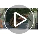 Lechuza CUBICO Color 40 Self Watering Planter Large Garden Plastic Indoor and Outdoor Flower Plant Pot with Drainage Hole H75 L40 W40 cm Nutmeg