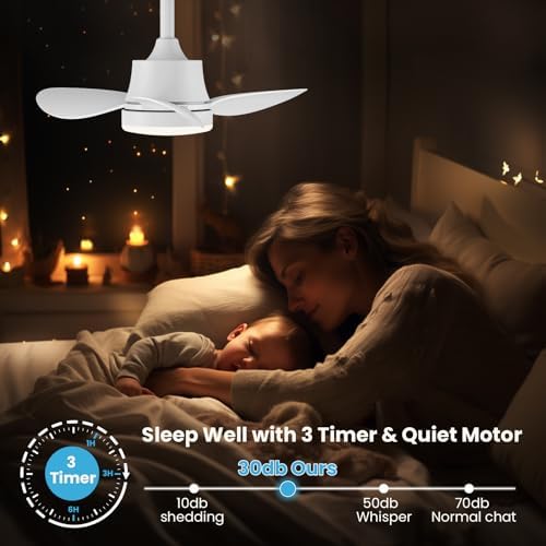Newday 24inch Small White Ceiling Fan with Light and Remote Control, Diammable LED Lights, 3 Blades, Quiet DC Motor 6 Speeds Memory Function for Bedroom Living Room