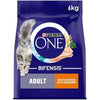 PURINA ONE Chicken Dry Cat Food 6kg