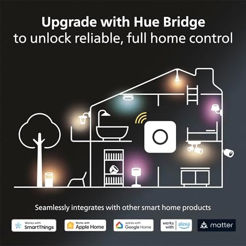 Philips Hue Lightguide G95 Small Globe Smart Bulb, White and Color Light, Bluetooth Compatible, Voice Control with Alexa, Apple Home & Google Assistant