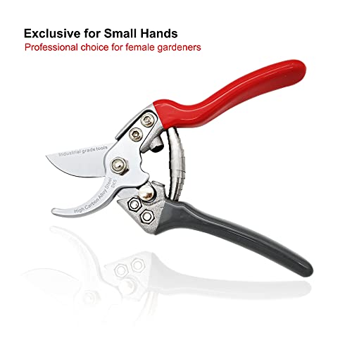 TONMA Secateurs [Made in Japan] 7.5" Professional Bypass Garden Shears Heavy Duty with Ergonomic Handle, Japanese Pruning Scissors Trimmers Sturdy