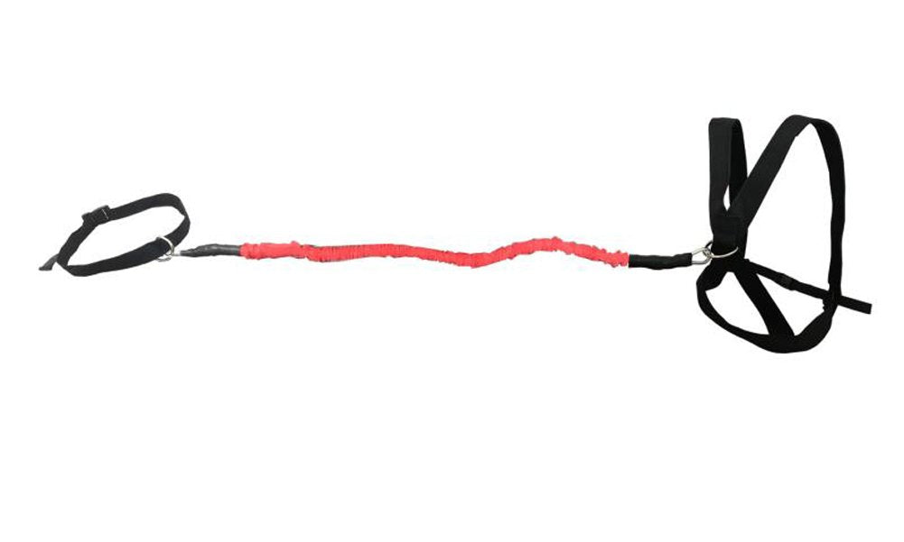 YNXing Load Strength Training Set Explosive Power Training Resistance Rope Enhance Strength Speed and Muscle ? (2m Kit)