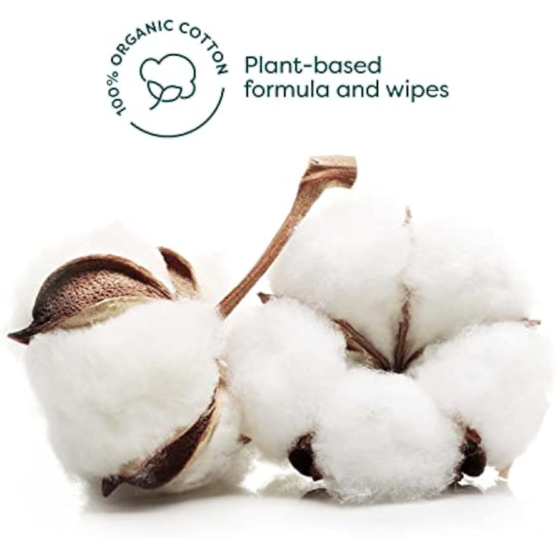 RAWGANIC Pure Cleansing Refreshing Facial Wipes with Aloe Vera and Green Tea | Gentle Soothing Biodegradable Makeup Removal Organic Cotton Wipes | 12 Packs (300 wipes in total)