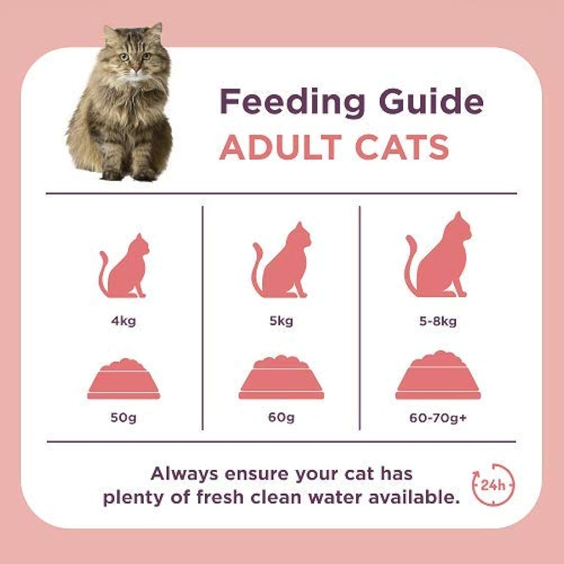 Burgess Dry Cat Food for Adult Cats Rich in Salmon, 1.5 kg