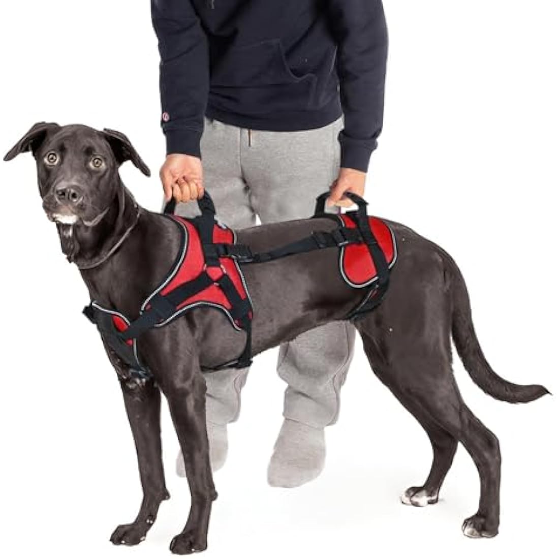 Doggie Stylz Multi-Functional Full-Body Lifting Dog Harness Vest, Designed for Front-Only, Rear-Only or Full-Body Dog Lifting , L